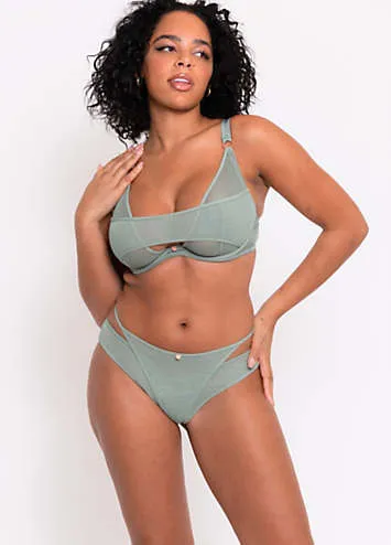 Peep Show Brazilian Briefs by Scantilly by Curvy Kate at Look Again