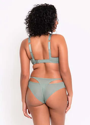 Peep Show Brazilian Briefs by Scantilly by Curvy Kate at Look Again